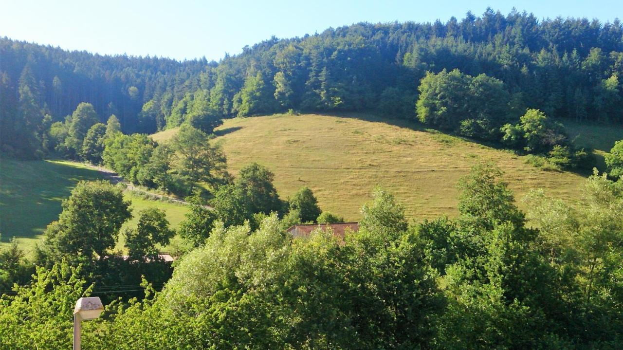 Hotel Gasthof Zur Krone Oberzent ภายนอก รูปภาพ